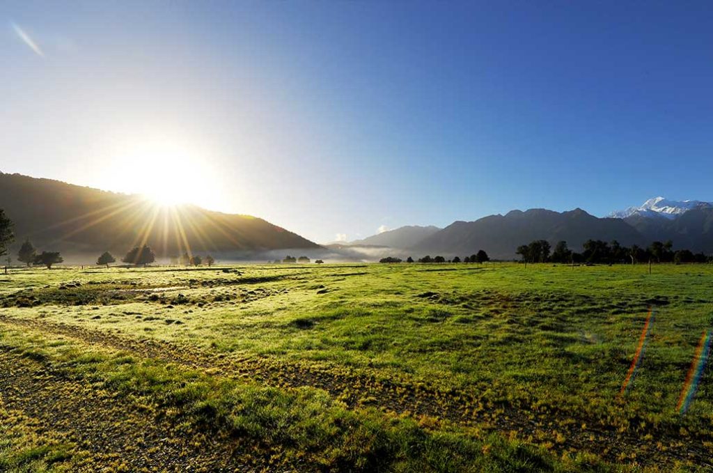 The landscape of rural land ownership in New Zealand underwent a significant shift late last year. These changes might not only alter your plans but also impact your resource acquisition strategies. A strong national direction to avoid rezoning, subdivision, or non-rural use of HPL, with a narrow band of exceptions – is arguably the most directive (and restrictive) national policy statement that we have.