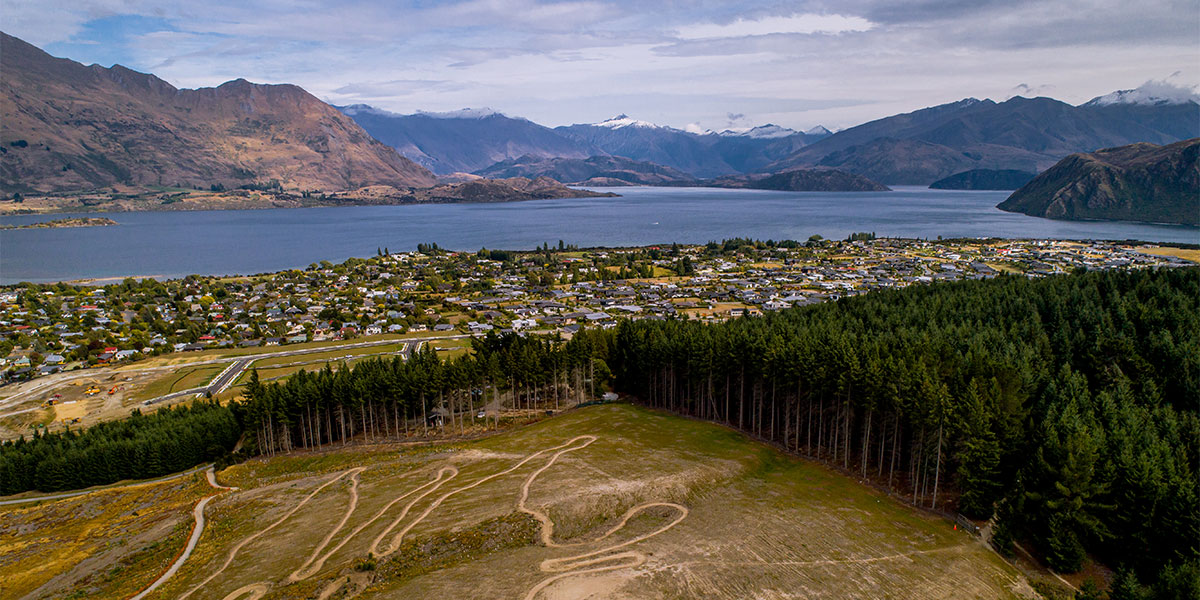 Sticky Forest from above, Wanaka